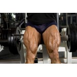 L’entraînement des muscles des jambes avec poids